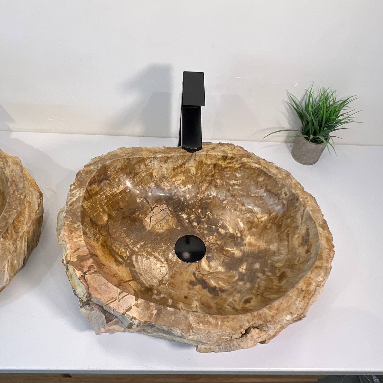Раковина из окаменелого дерева ПАРА! OD-66941 53*42*15 из натурального камня