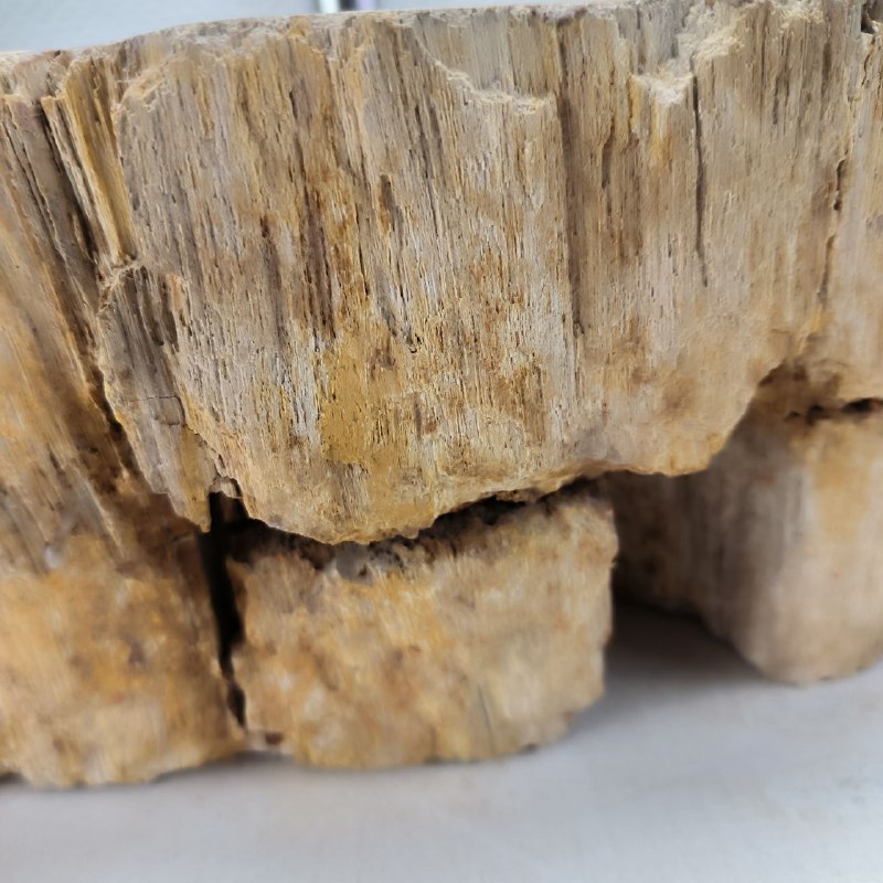 cu9s3weckzfg3fgln4yiqc32wpgy05kw