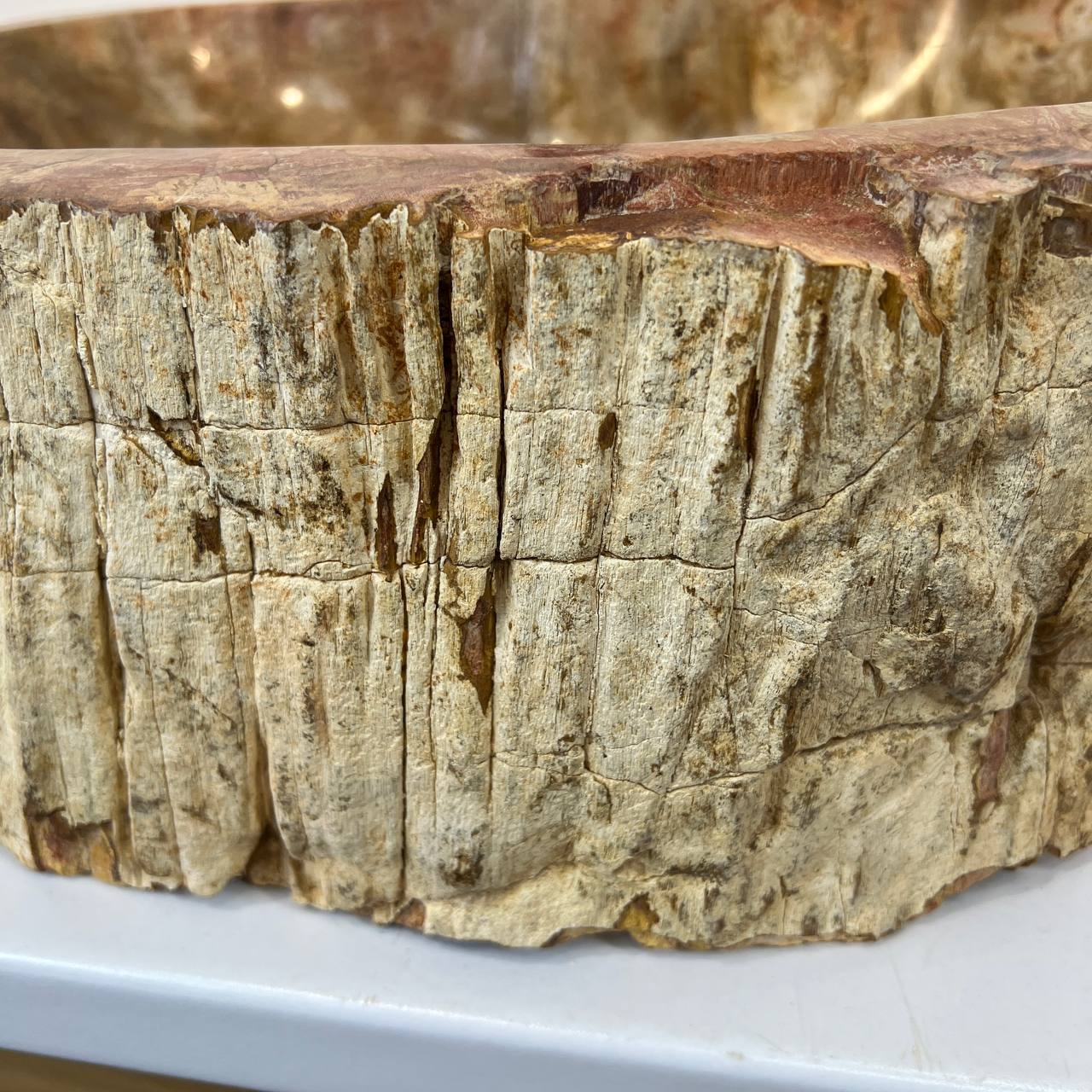 Раковина из окаменелого дерева ПАРА! OD-66879 55*45*16 из натурального камня