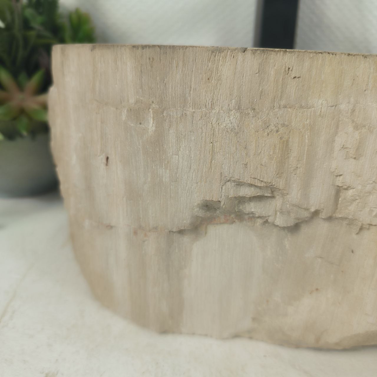 0jo83x8m8wwyd6a5dg5dqtn8u1skbacq