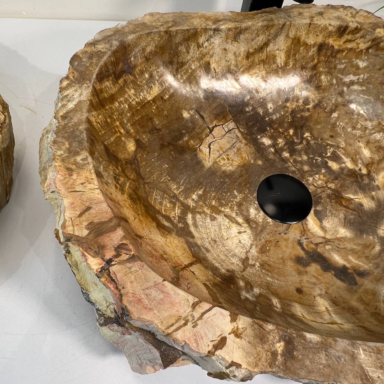 Раковина из окаменелого дерева ПАРА! OD-66941 53*42*15 из натурального камня