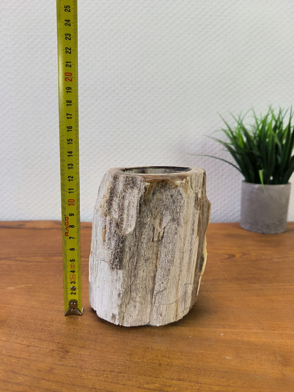 photo_2025-08-27_09-31-13