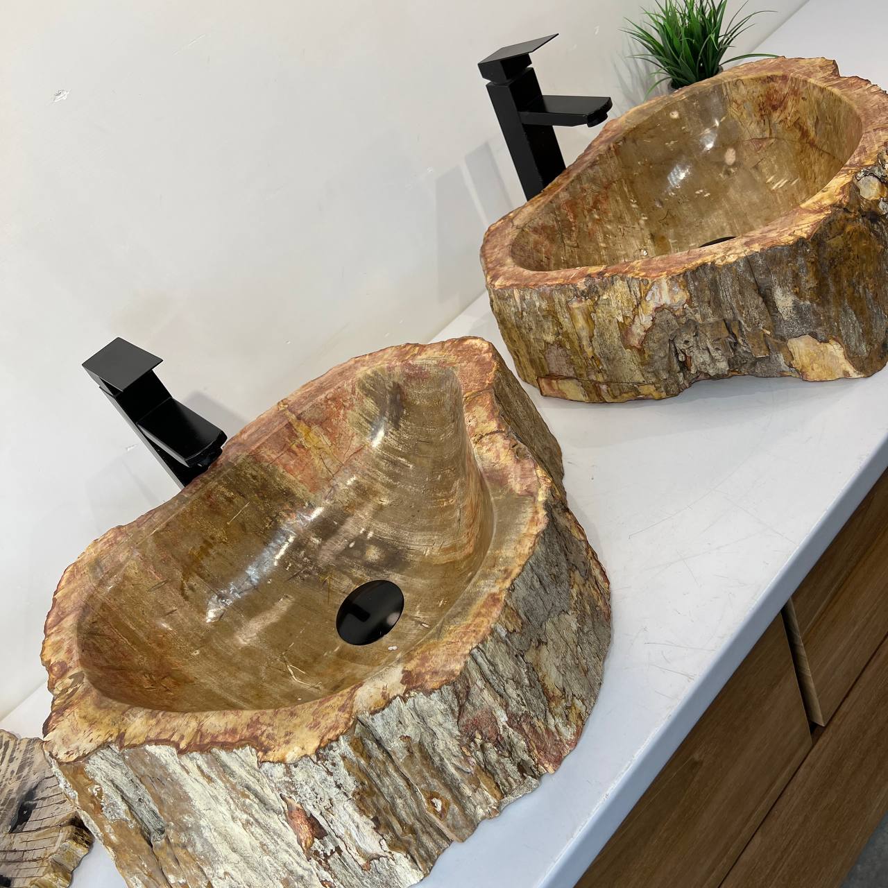 Раковина из окаменелого дерева ПАРА! OD-67004 51*44*16 из натурального камня