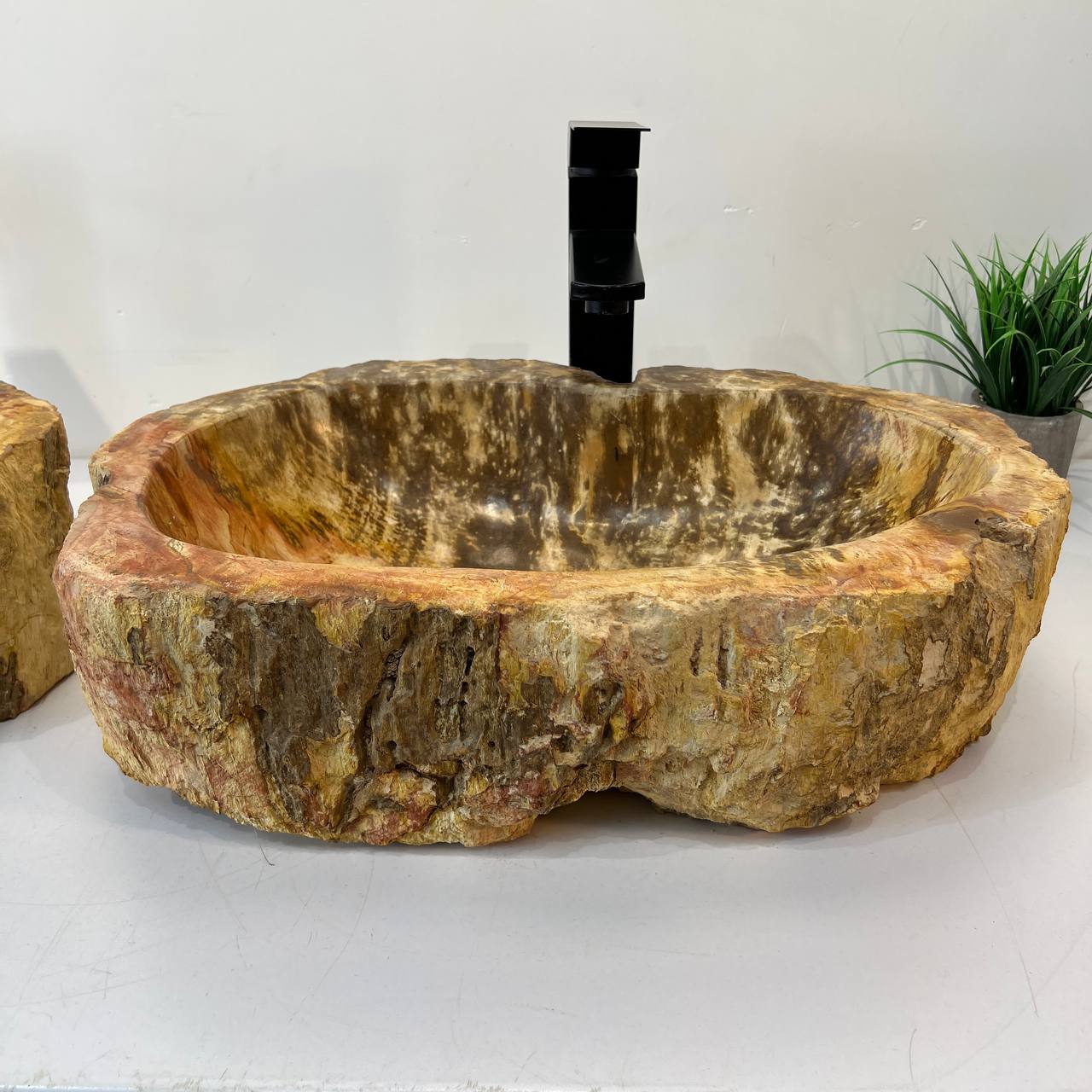 Раковина из окаменелого дерева ПАРА! OD-67005 51*30*15 из натурального камня