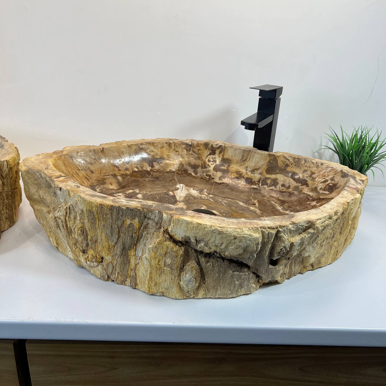 Раковина из окаменелого дерева ПАРА! OD-66906 70*47*15 из натурального камня