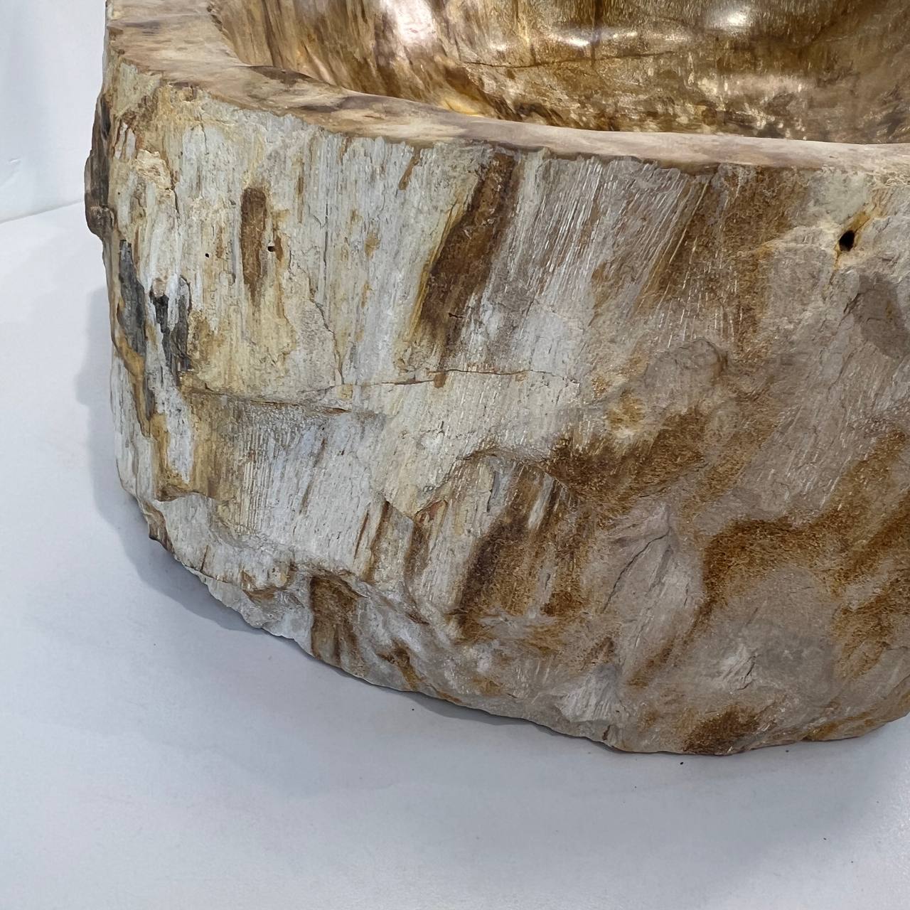 Раковина из окаменелого дерева ПАРА! OD-66941 53*42*15 из натурального камня