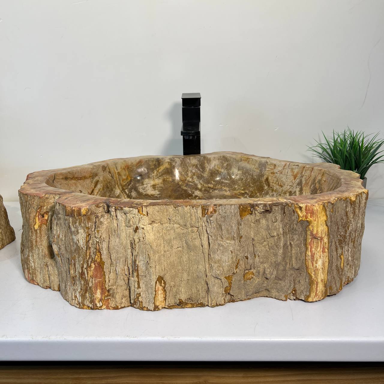 Раковина из окаменелого дерева ПАРА! OD-67011 63*46*16 из натурального камня