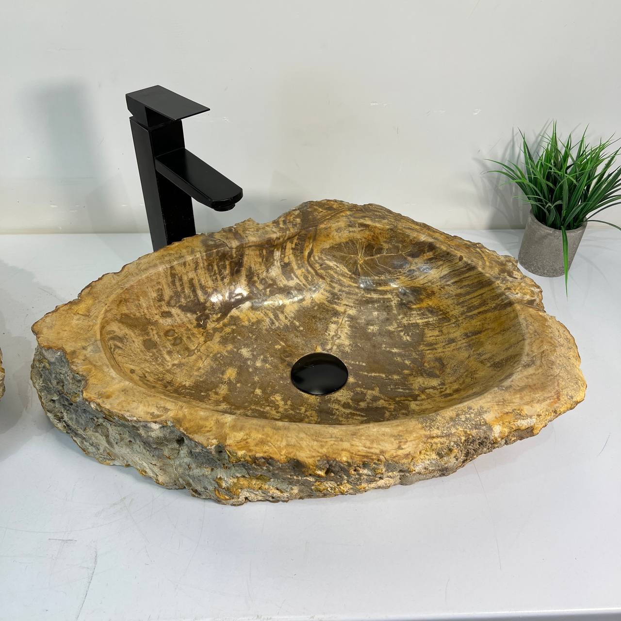 Раковина из окаменелого дерева ПАРА! OD-67024 54*42*15 из натурального камня