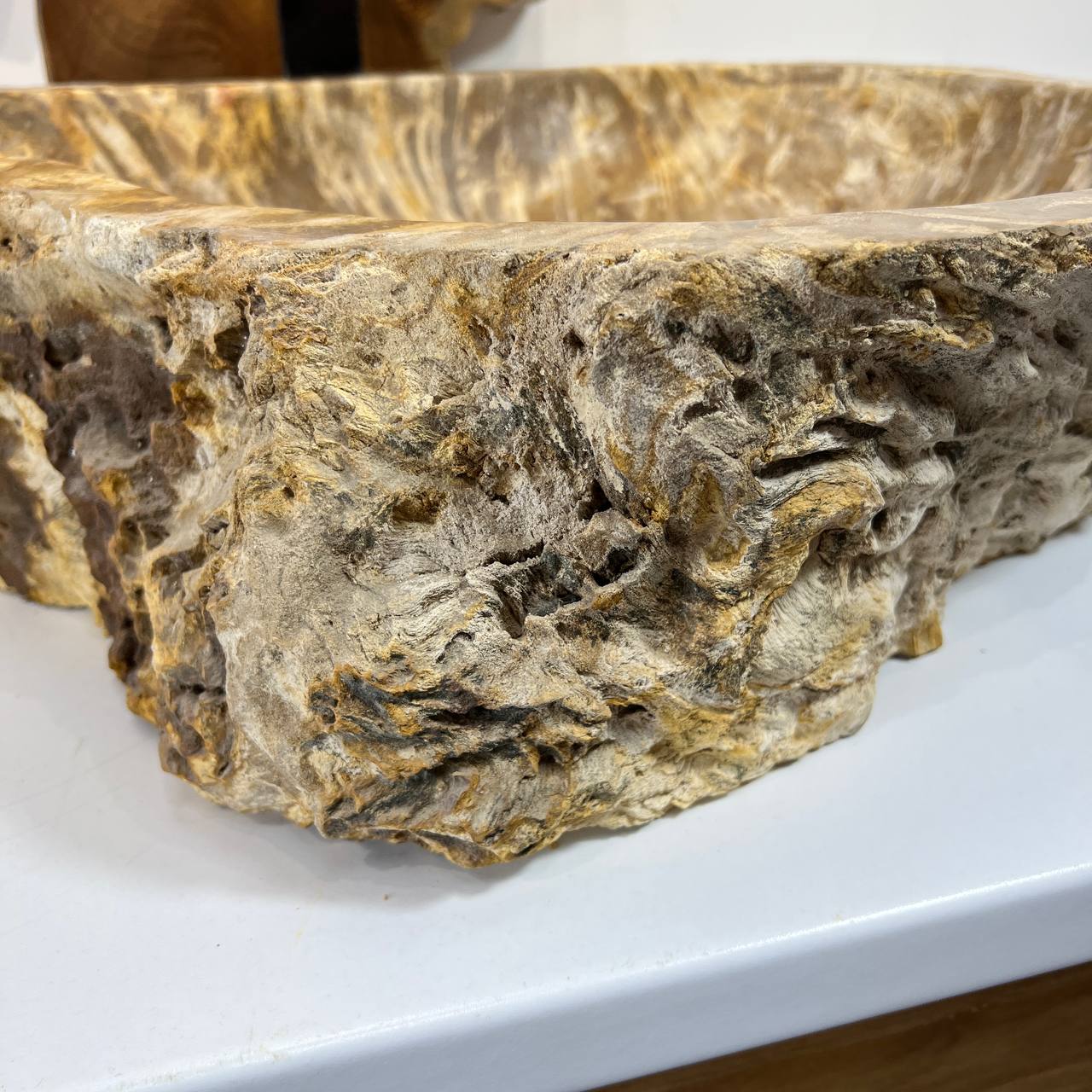 Раковина из окаменелого дерева ПАРА! OD-66877 60*47*15 из натурального камня