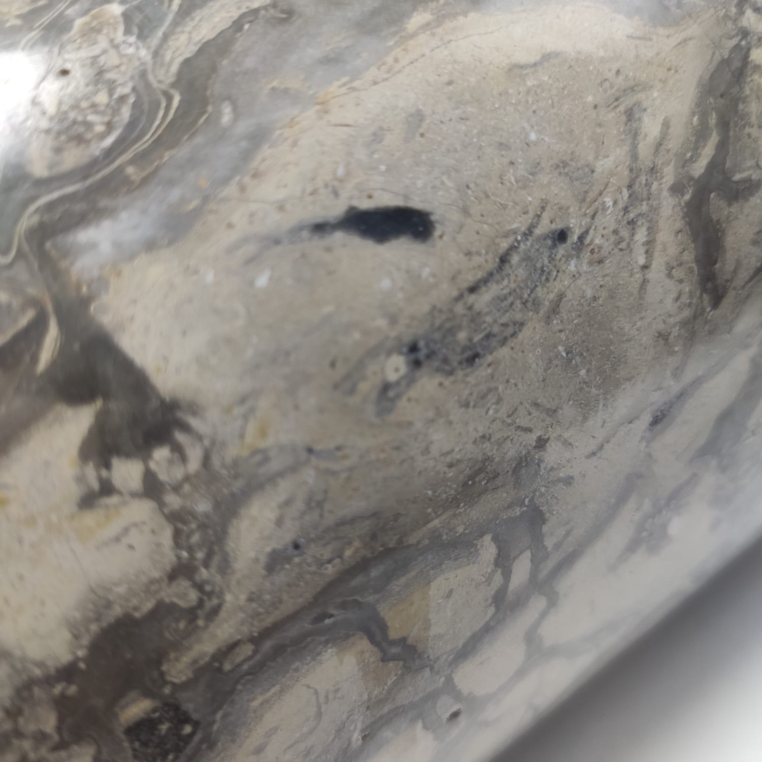 o53w7xbasixrbdscpg3ng4z3desdpc4v