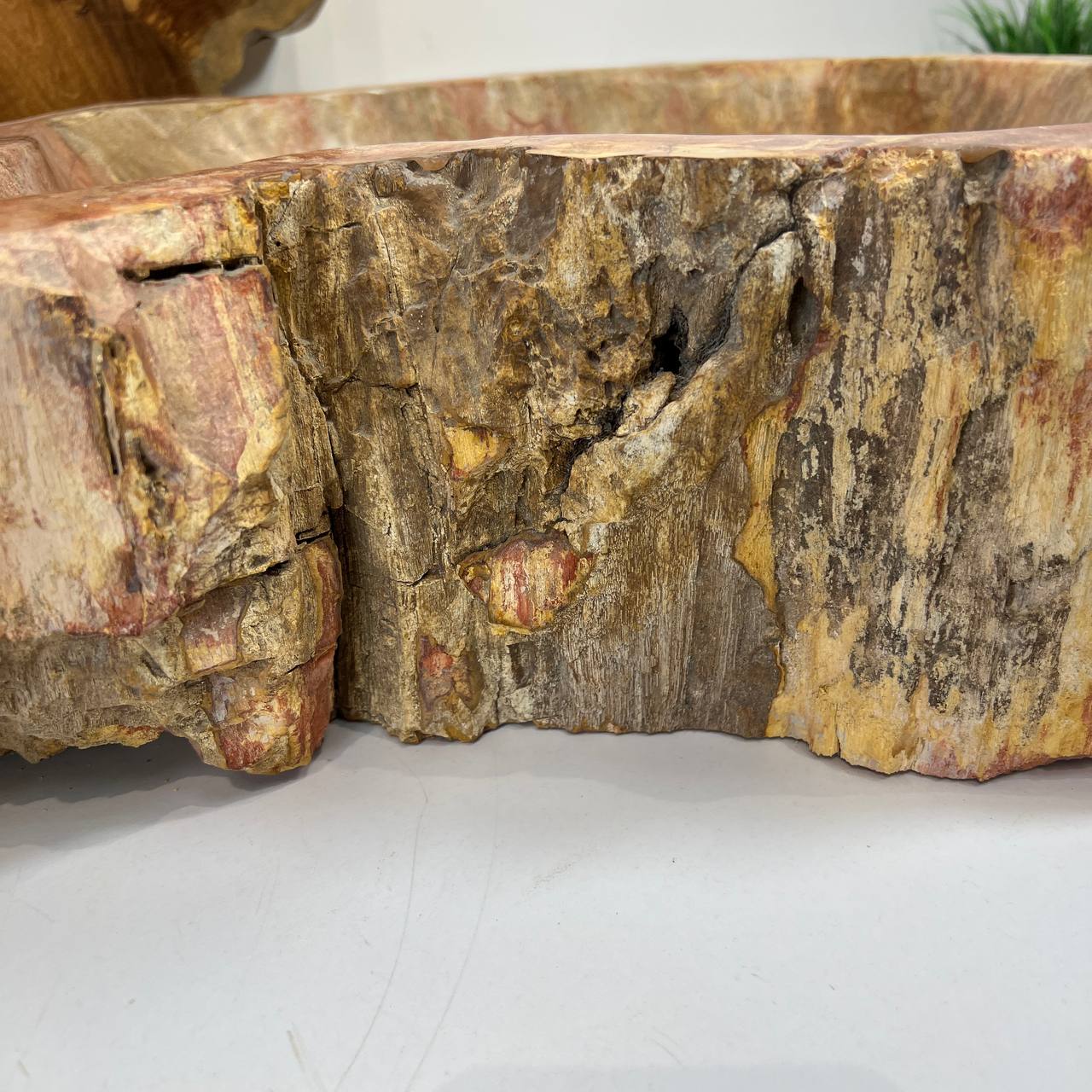 Раковина из окаменелого дерева ПАРА! OD-66876 62*45*16 из натурального камня
