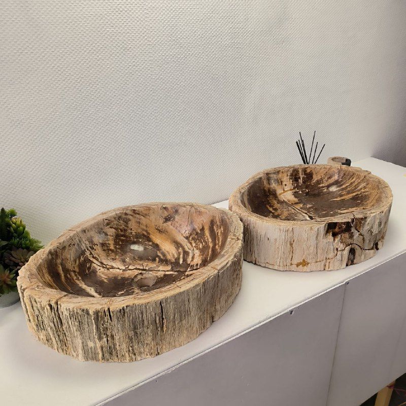 Раковина из окаменелого дерева ПАРА! OD-62099 57*46*16 2шт из натурального камня