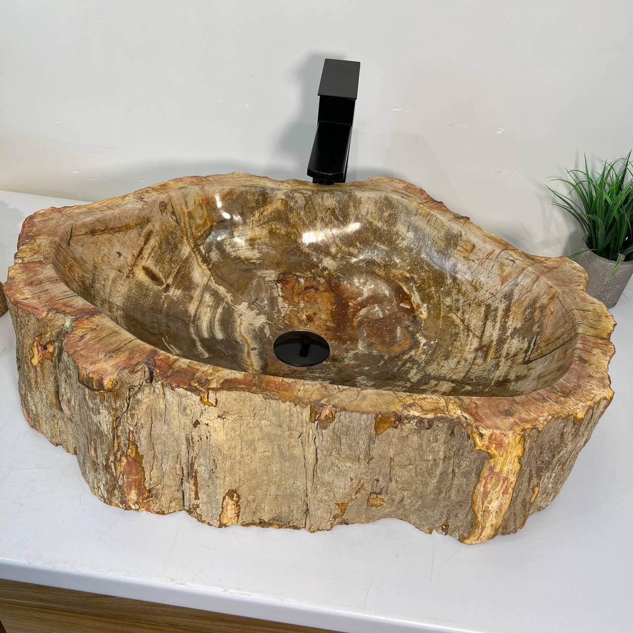 Раковина из окаменелого дерева ПАРА! OD-67011 63*46*16 из натурального камня