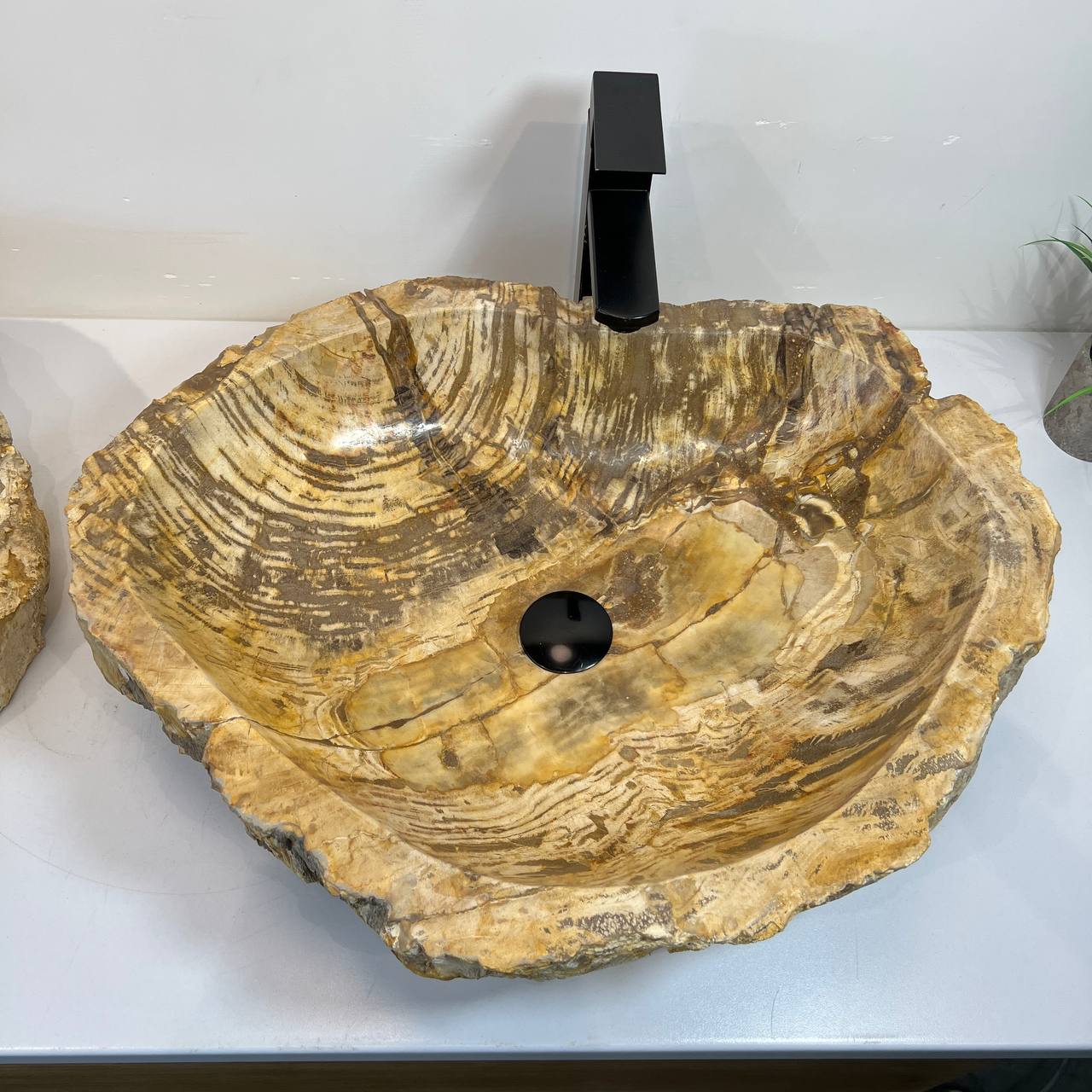 Раковина из окаменелого дерева ПАРА! OD-66907 63*49*15 из натурального камня