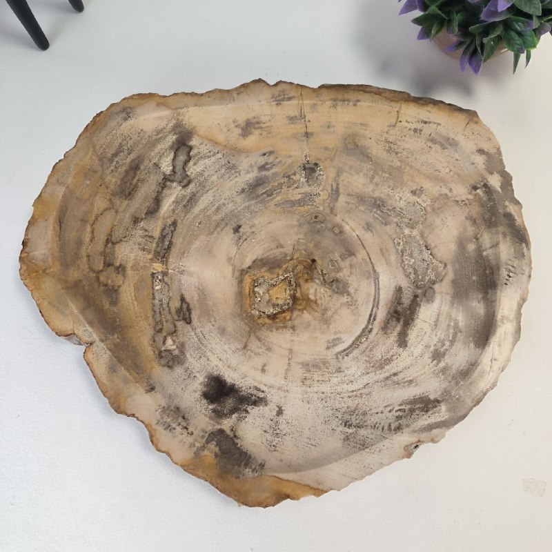 kcepl7xfpkcc8s3og91c7885l7tb03ne