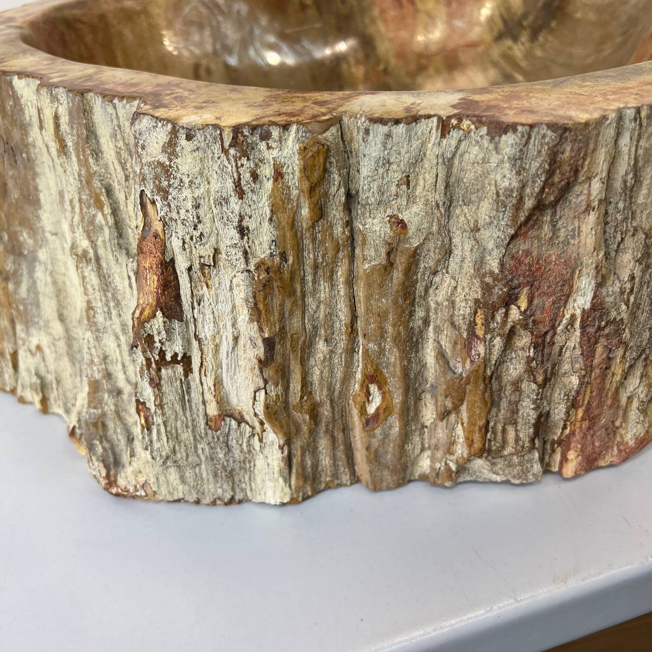 Раковина из окаменелого дерева ПАРА! OD-67004 51*44*16 из натурального камня