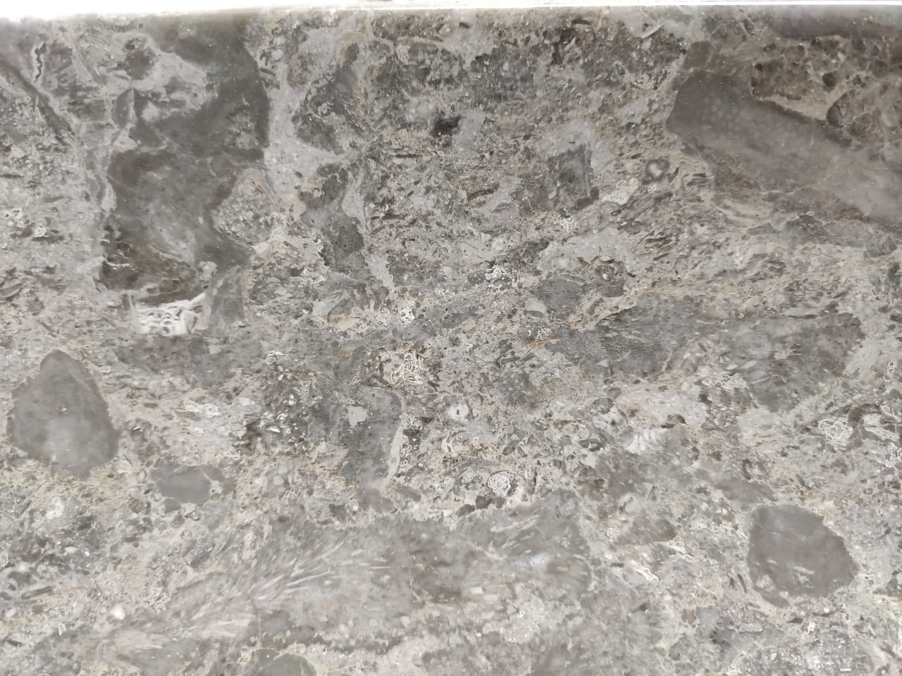 295726e6caf5c1d7ea02c9be9edf766a