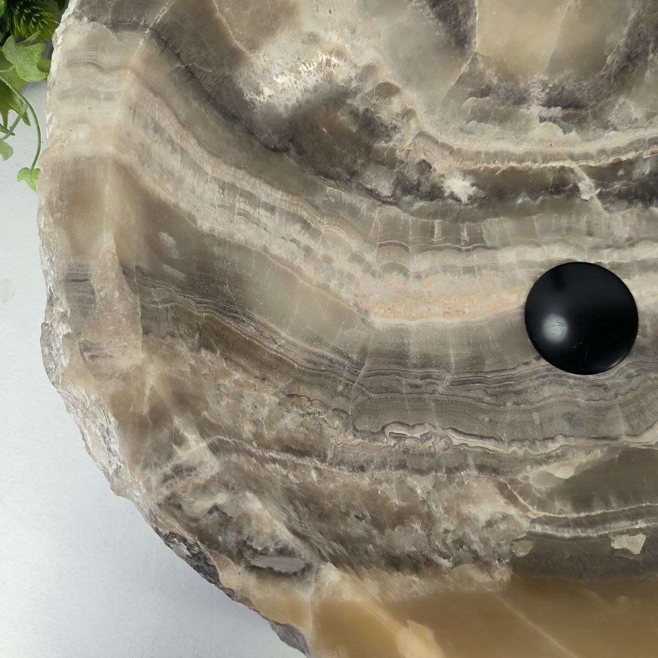 srczjm1s2l8u5907a7kg7cdio8h18mdz