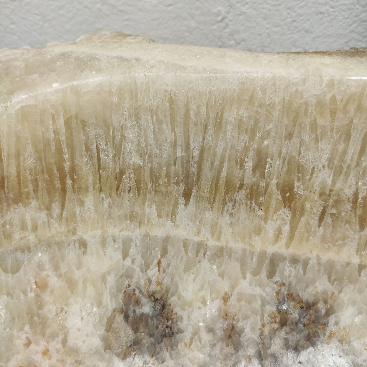 0vnkqs6b9byu5b31gqe1nsvyvfso7op8