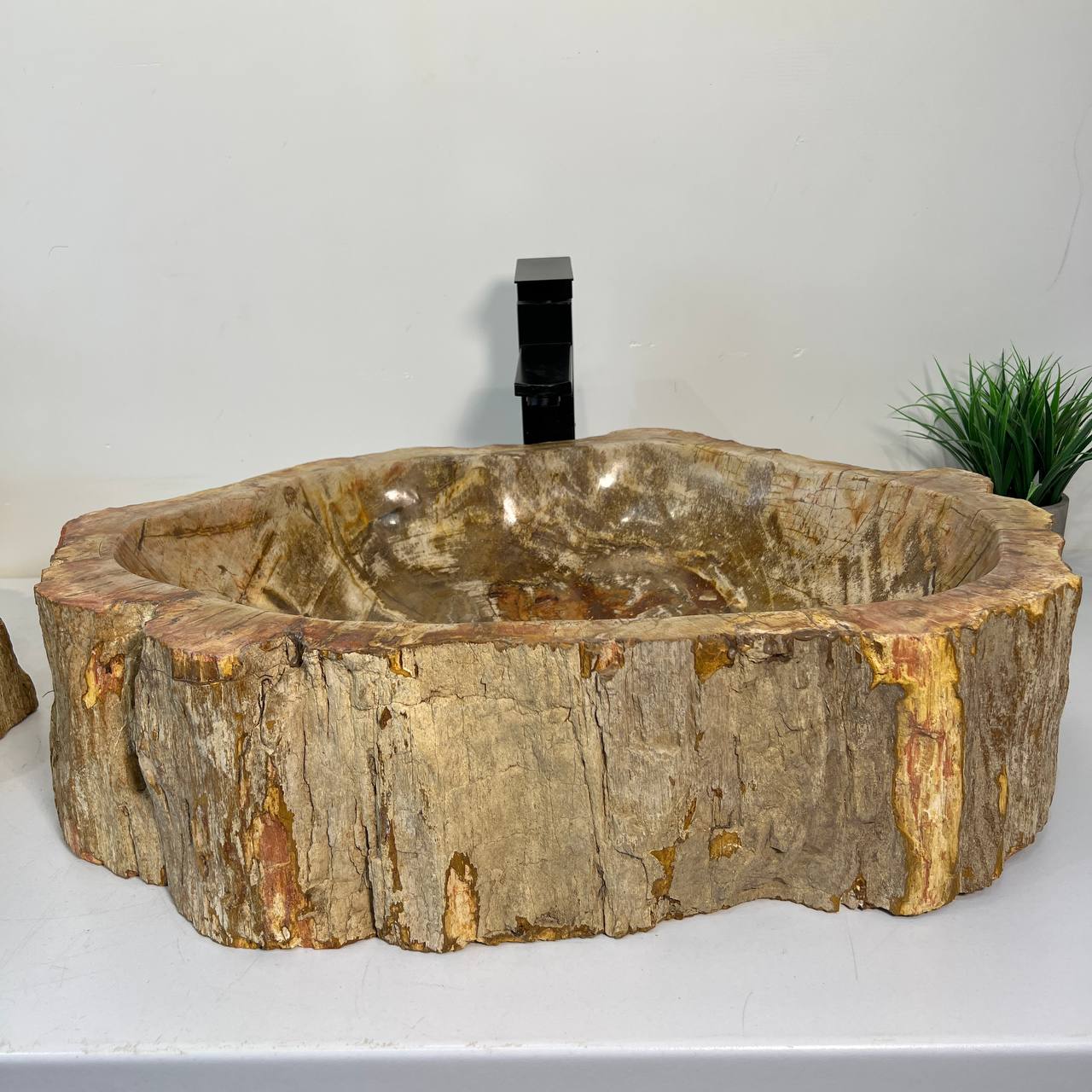 Раковина из окаменелого дерева ПАРА! OD-67011 63*46*16 из натурального камня