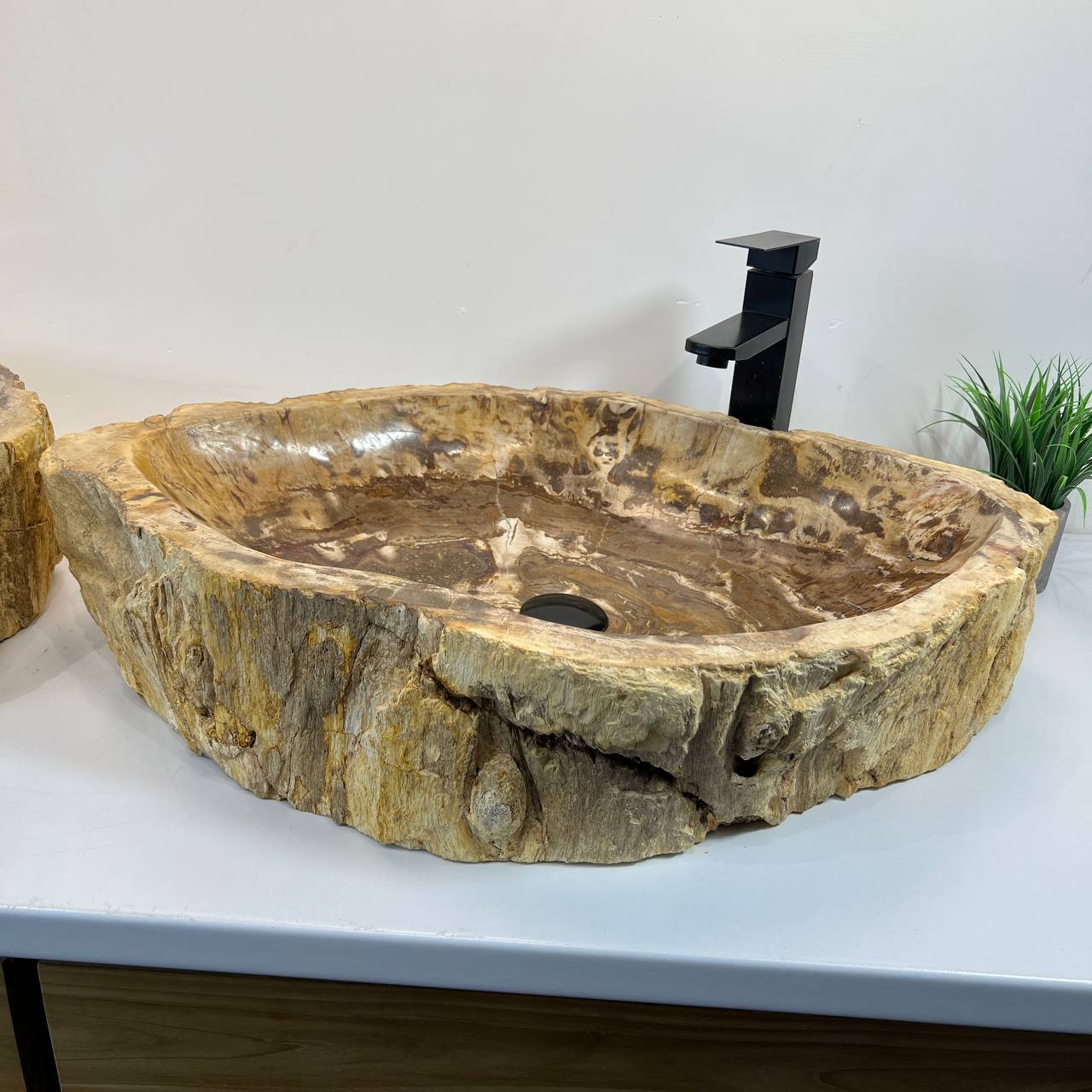 Раковина из окаменелого дерева ПАРА! OD-66906 70*47*15 из натурального камня