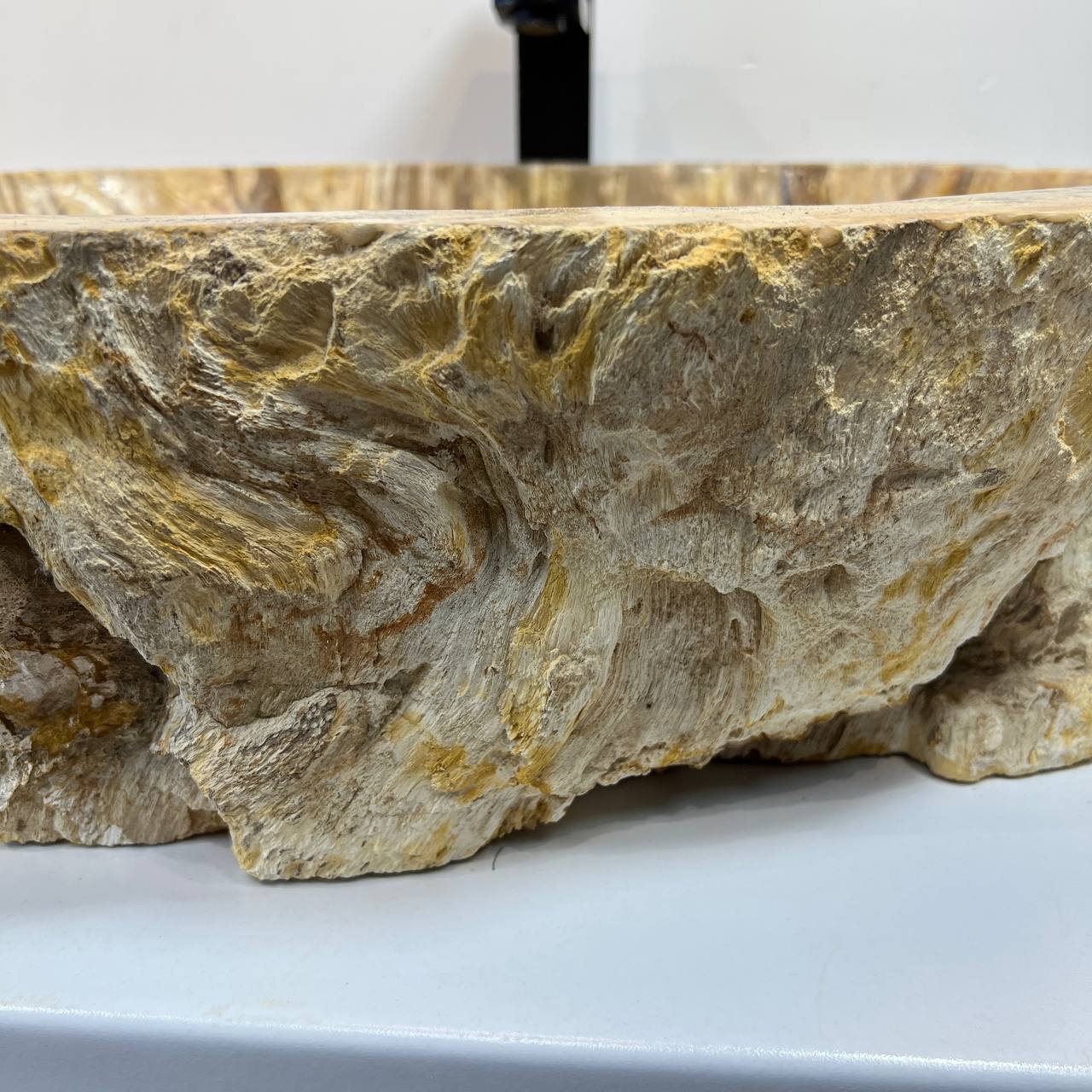 Раковина из окаменелого дерева ПАРА! OD-66907 63*49*15 из натурального камня