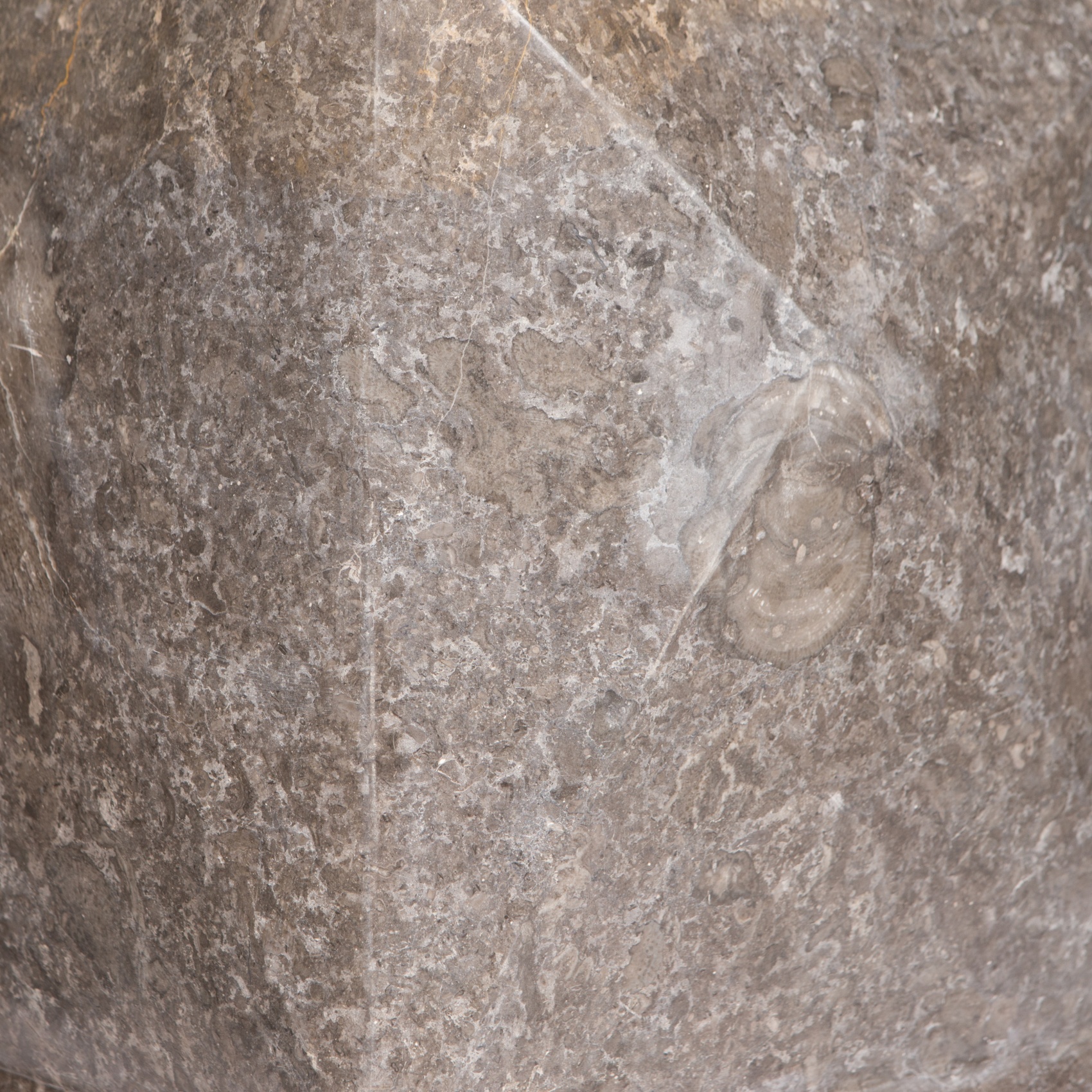 qywuryjpkw8tgt7gerx8k4fjuyleamqc