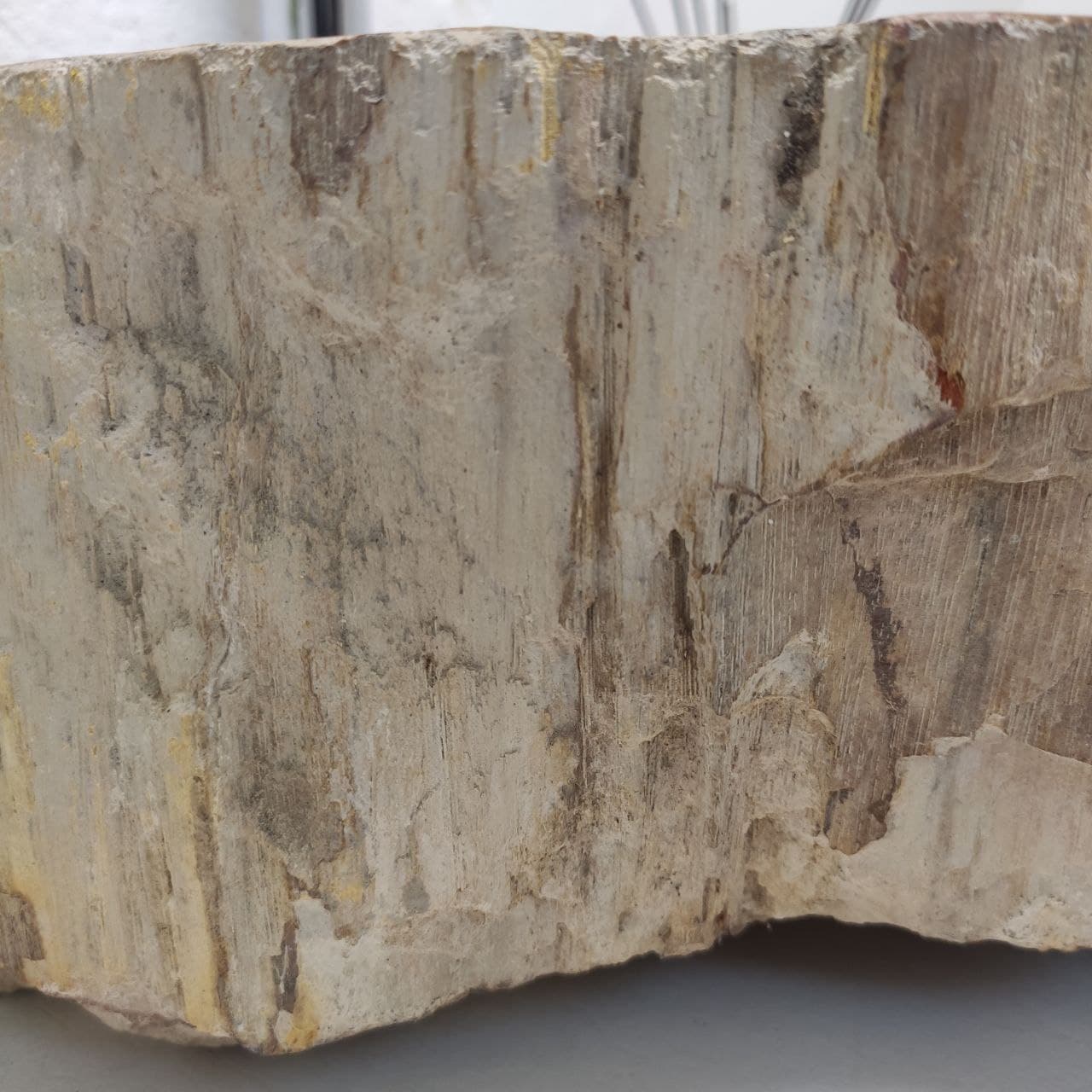 b4c3wlth4z1gu3jox97i91srxtsrlcba