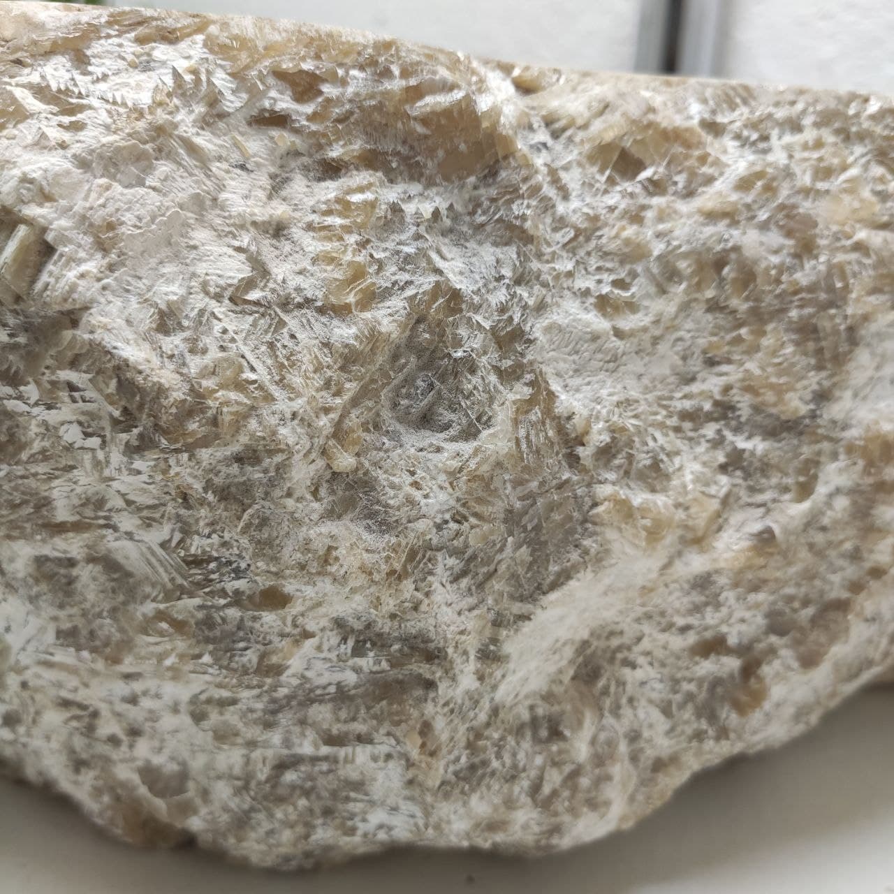 2imhx7x4q9w88rq2ibhvwb4uc6ezd161