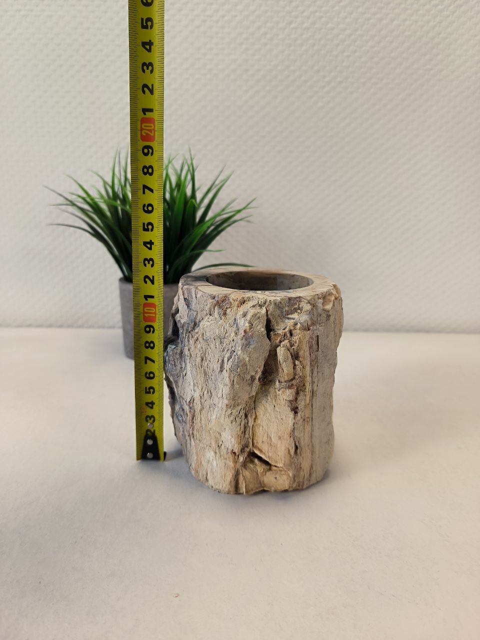 photo_2025-03-24_17-22-21