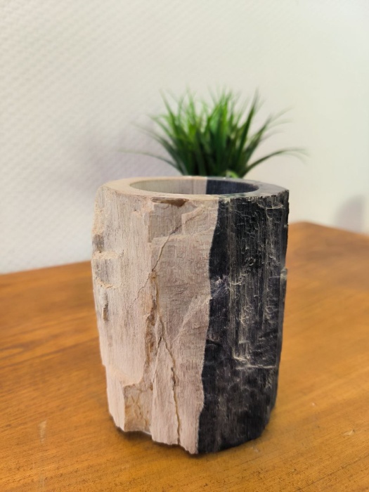 photo_2025-08-27_09-26-14 (4)