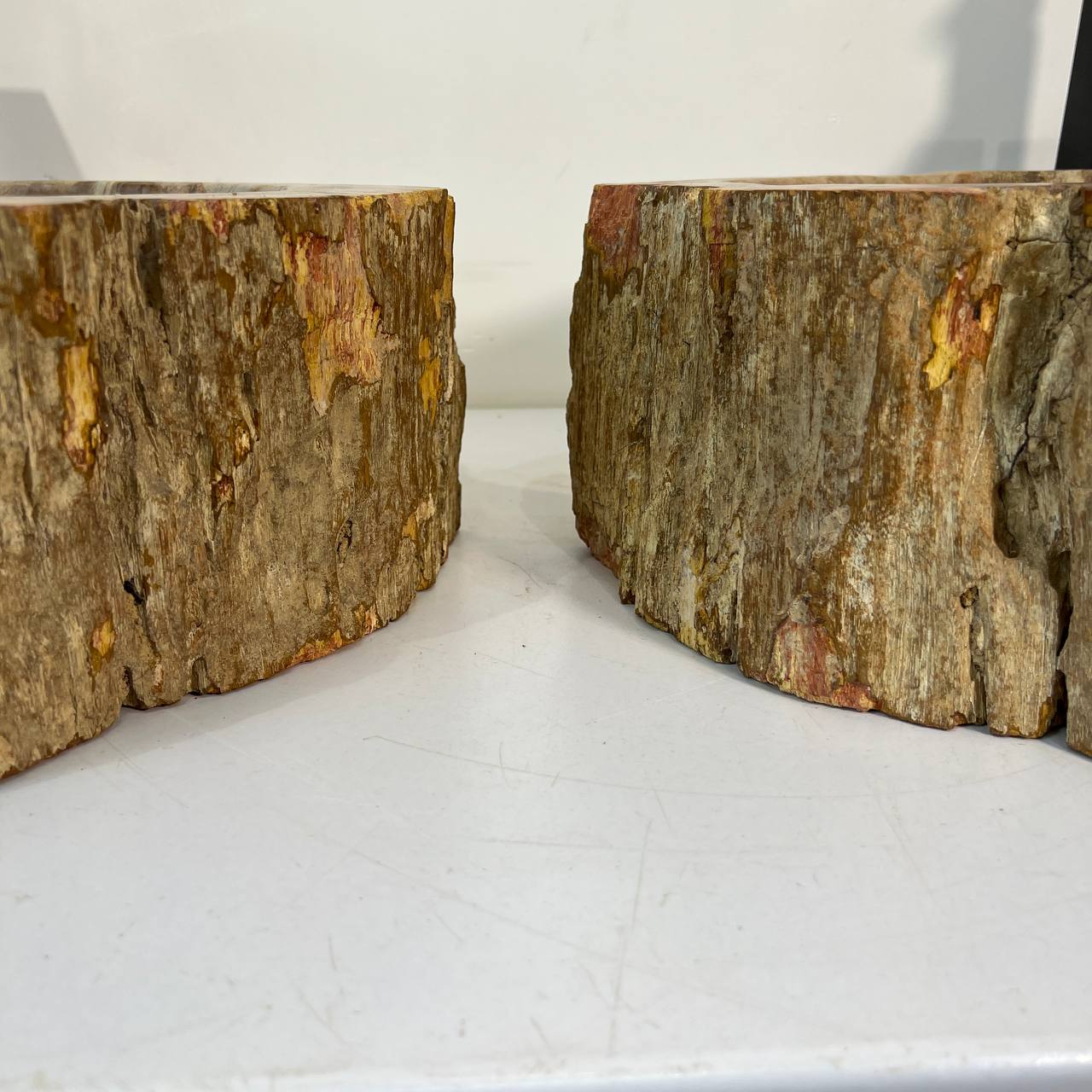 Раковина из окаменелого дерева ПАРА! OD-67011 63*46*16 из натурального камня