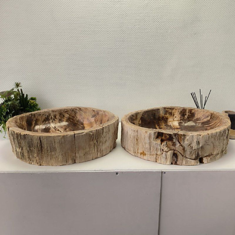 Раковина из окаменелого дерева ПАРА! OD-62099 57*46*16 2шт из натурального камня