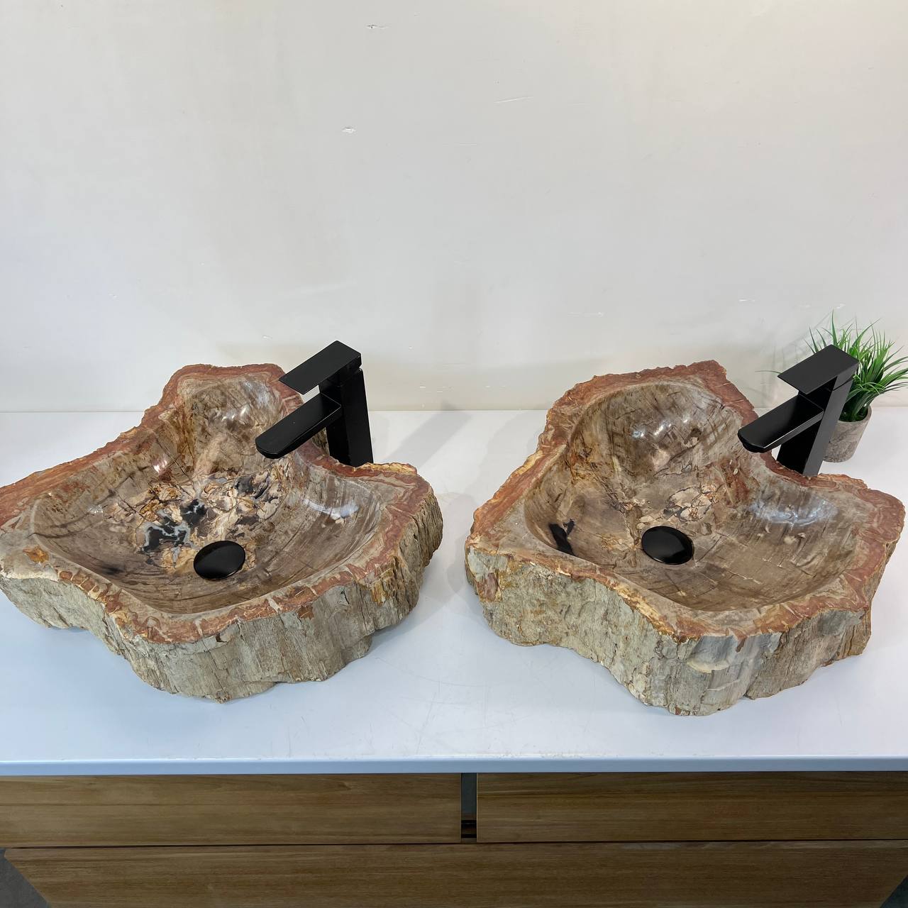 Раковина из окаменелого дерева ПАРА! OD-66974 54*48*16 из натурального камня