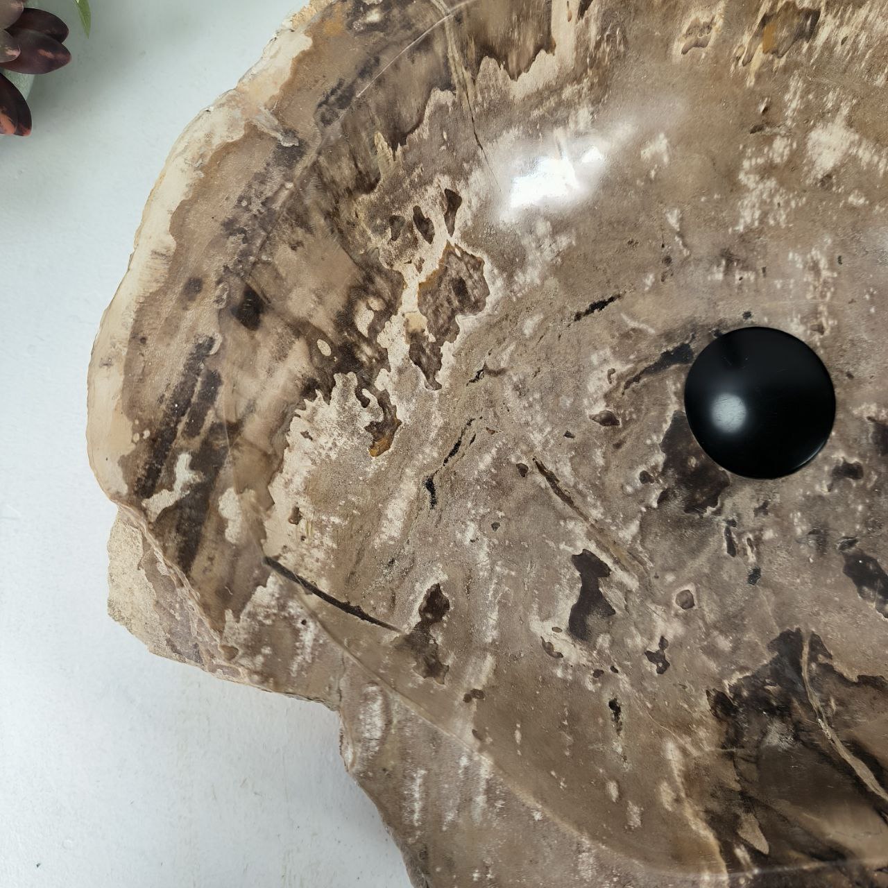 ad1kjeczc9q4rsdou3ncb7xpd9jpzcq8