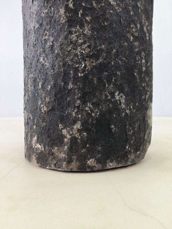 a6de156c-361b-46ea-8887-4bd41d13668e