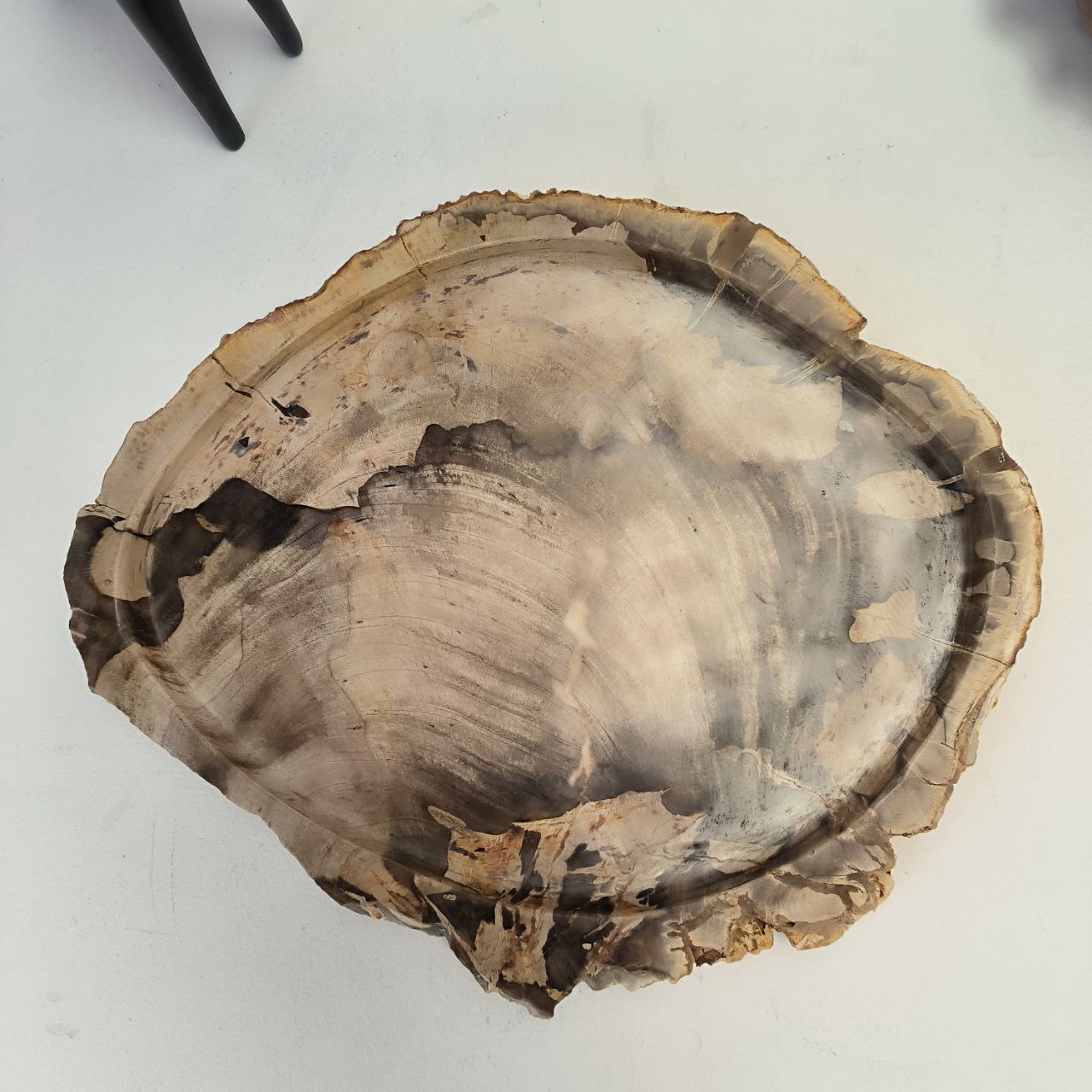 andtqvec190c5m072z69oukwwimld2ye