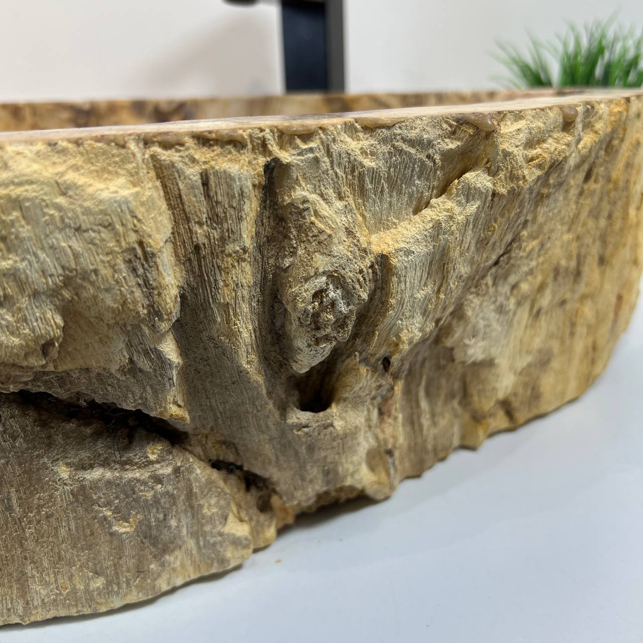 Раковина из окаменелого дерева ПАРА! OD-66906 70*47*15 из натурального камня