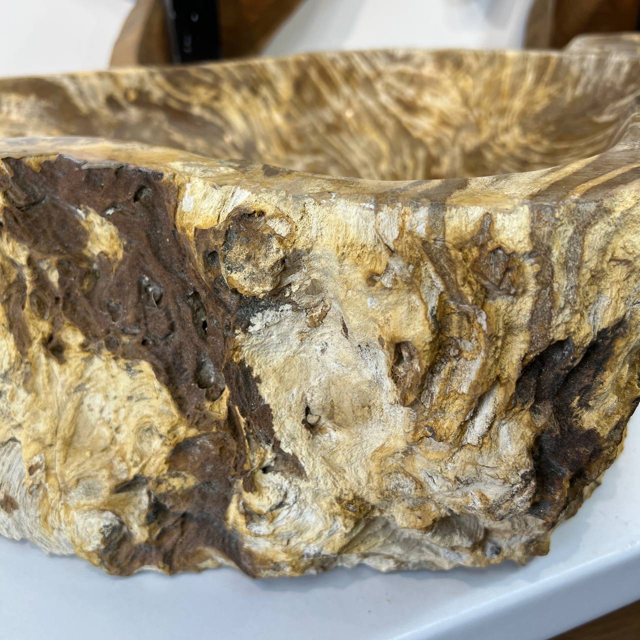 Раковина из окаменелого дерева ПАРА! OD-66877 60*47*15 из натурального камня