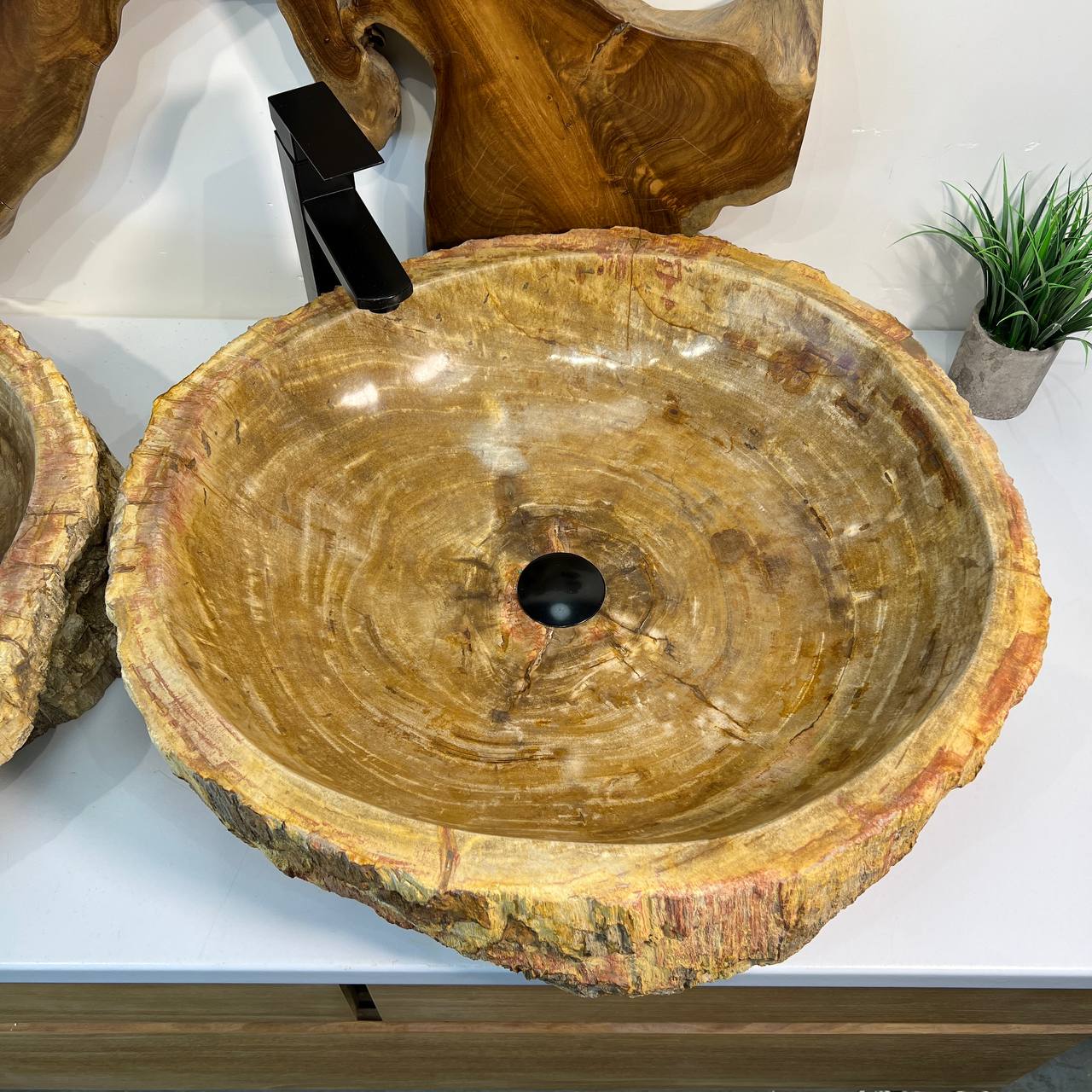 Раковина из окаменелого дерева ПАРА! OD-66878 62*55*15 из натурального камня