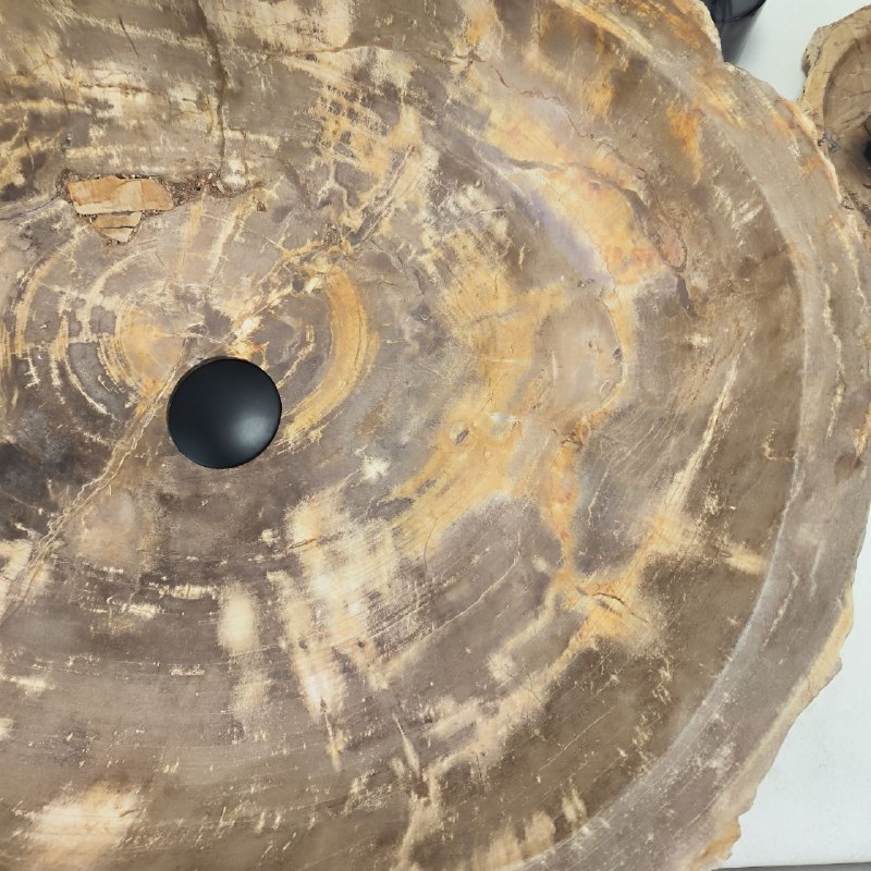 0nr7rbfffsl1hp7artfnw8e4xzrz8uf8