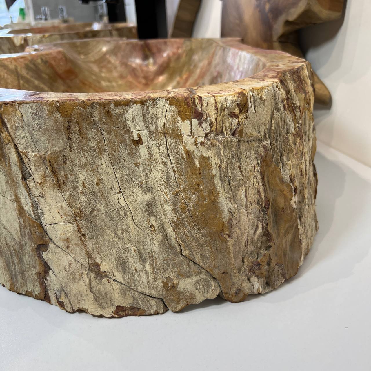 Раковина из окаменелого дерева ПАРА! OD-66876 62*45*16 из натурального камня