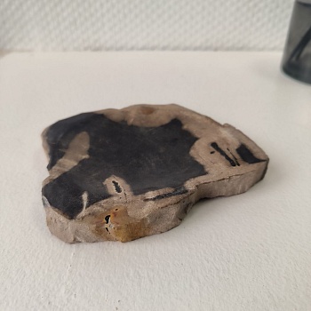 Мыльница из окаменелого дерева MO-63094 (14*12*2)