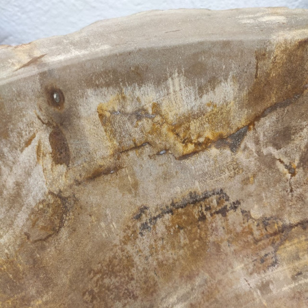 Раковина из окаменелого дерева Fossil Basin OD-01230 (61*40*15) 