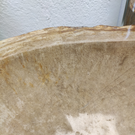 Раковина из окаменелого дерева Fossil Basin OD-01235 (59*56*13) 