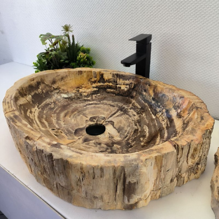 Раковина из окаменелого дерева Fossil Basin OD-02479 (67*50*15) 0091