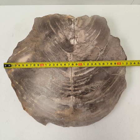 Набор из окаменелого дерева 4 предм Fossil Set NF-03282 поднос 149