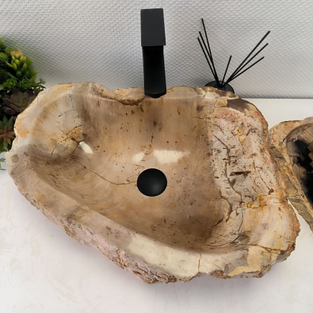 Раковина из окаменелого дерева Fossil Basin OD-02366 (53*39*15) 0088