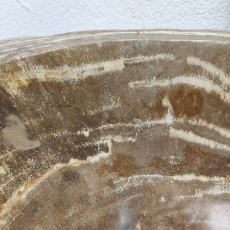 Раковина из окаменелого дерева Fossil Basin OD-01207 (53*51*14) 
