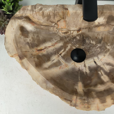 Каменная раковина из окаменелого дерева OD-04663 (60*39*15) 0176 из натурального камня